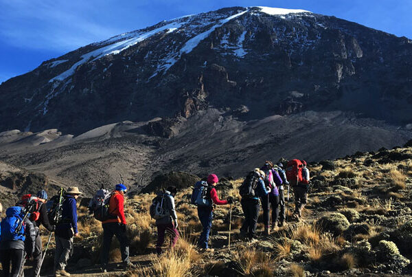 Kilimanjaro view on the way to Barafu base camp