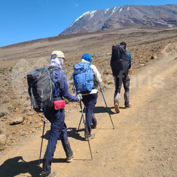 Mt Kilimanjaro Day trekking