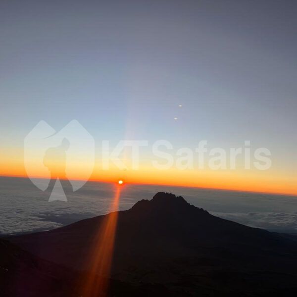 Mt kilimanjaro sunrise