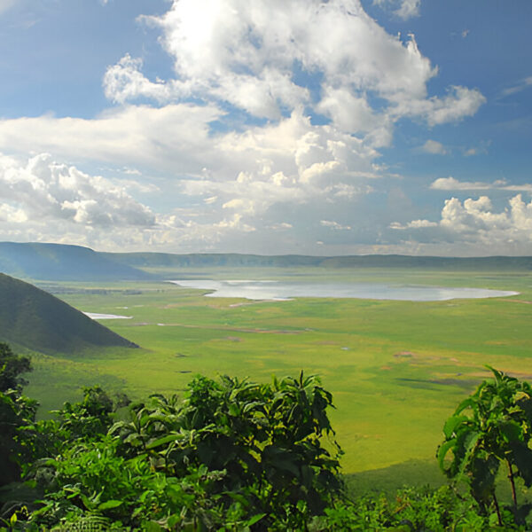 Ngorongoro