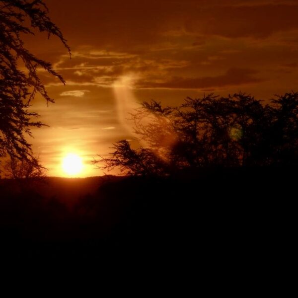 Serengeti