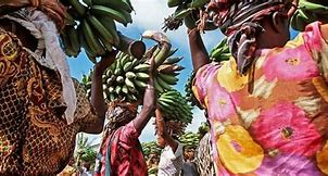Chagga's women's going to the Markert for exchanging the banana with other products