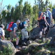 6 Days Umbwe Route - Kilimanjaro Expedition