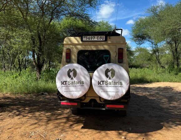 5 Days Tarangire, Ngorongoro, Lake Manyara & Serengeti Safari