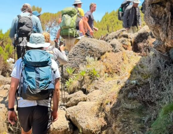 Shira Plateau Day Hike - Kilimanjaro Experience