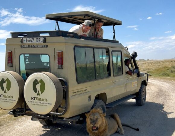 Mikumi National Park Day Tour