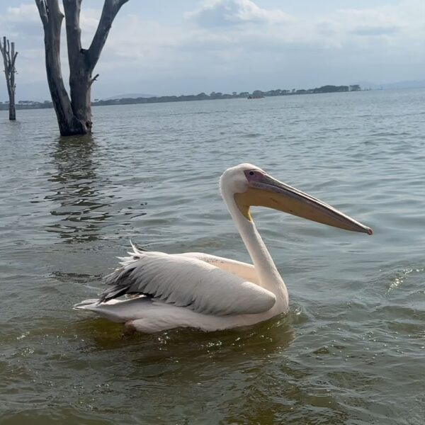 Lake Chala Excursion