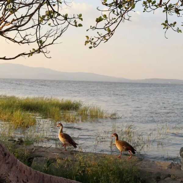 Lake Chala Excursion