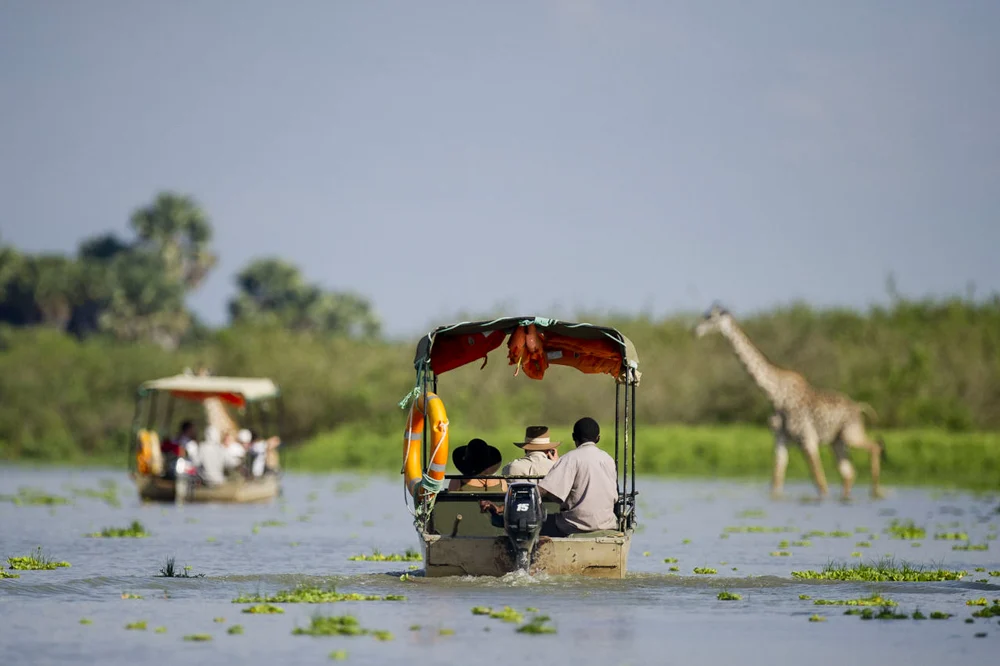 Nyerere National Park - Boat Safari